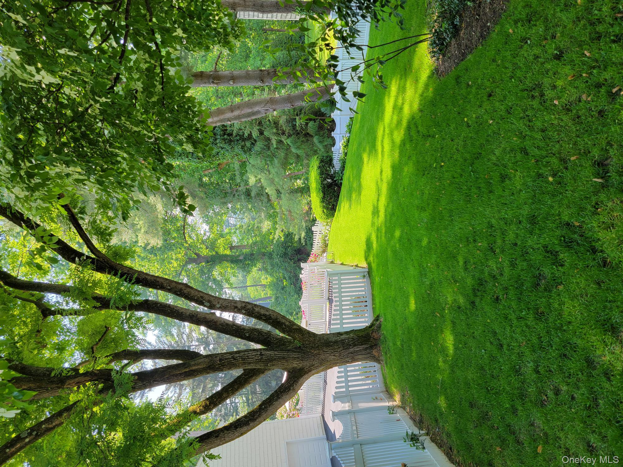 103 River Road Briarcliff Manor, NY 10510 - Photo 33 of 37 a view of garden with trees