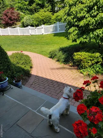 a view of an outdoor space and seating area