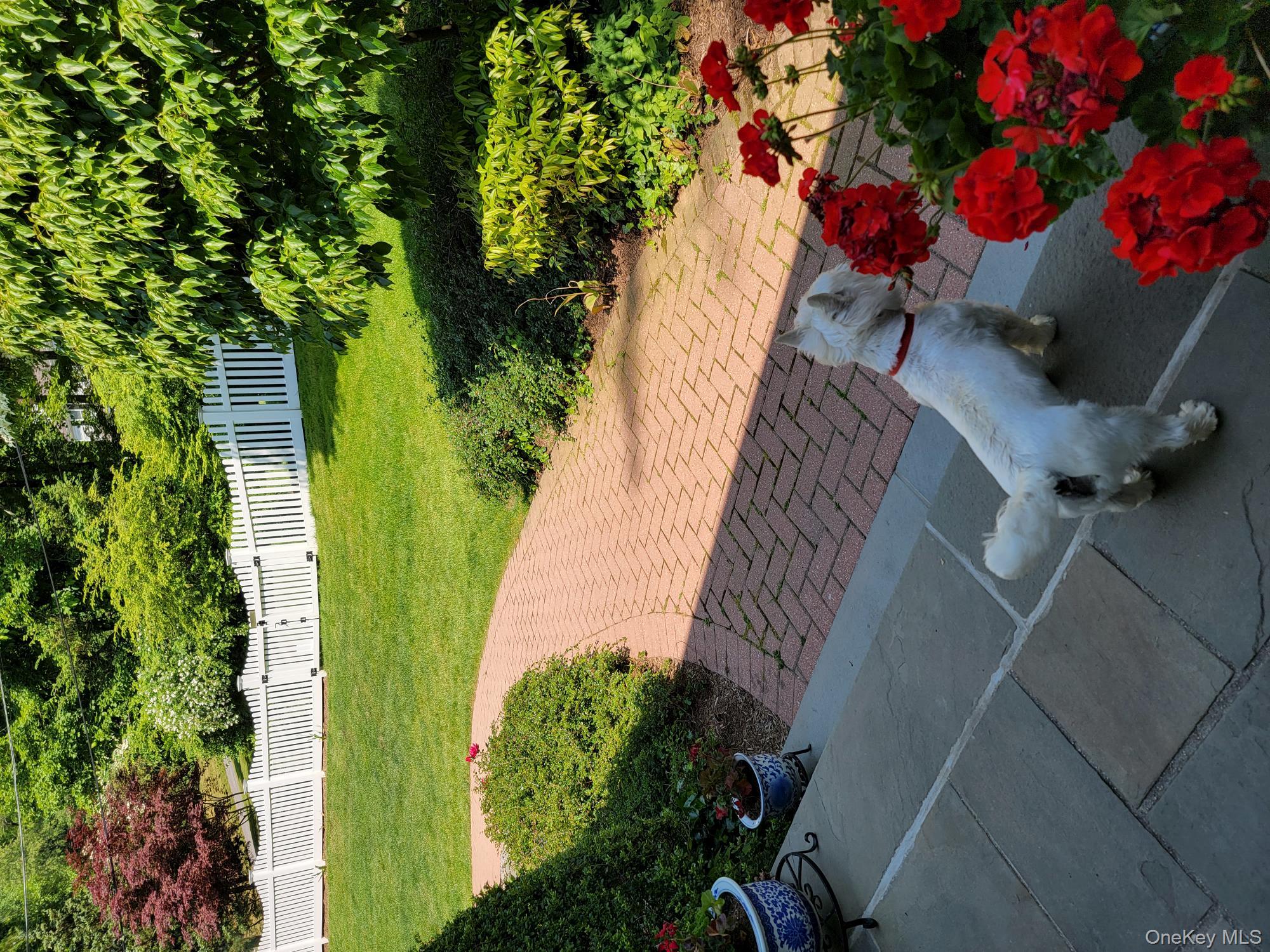 103 River Road Briarcliff Manor, NY 10510 - Photo 34 of 37 a view of an outdoor space and seating area