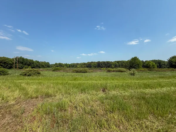 $162,000 | Parcel A North Stephens Road, Custer, MI 49405