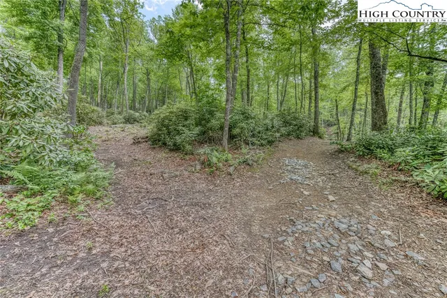 $1,455,000 | 183 Windshaken Lane, Newland, NC 28657