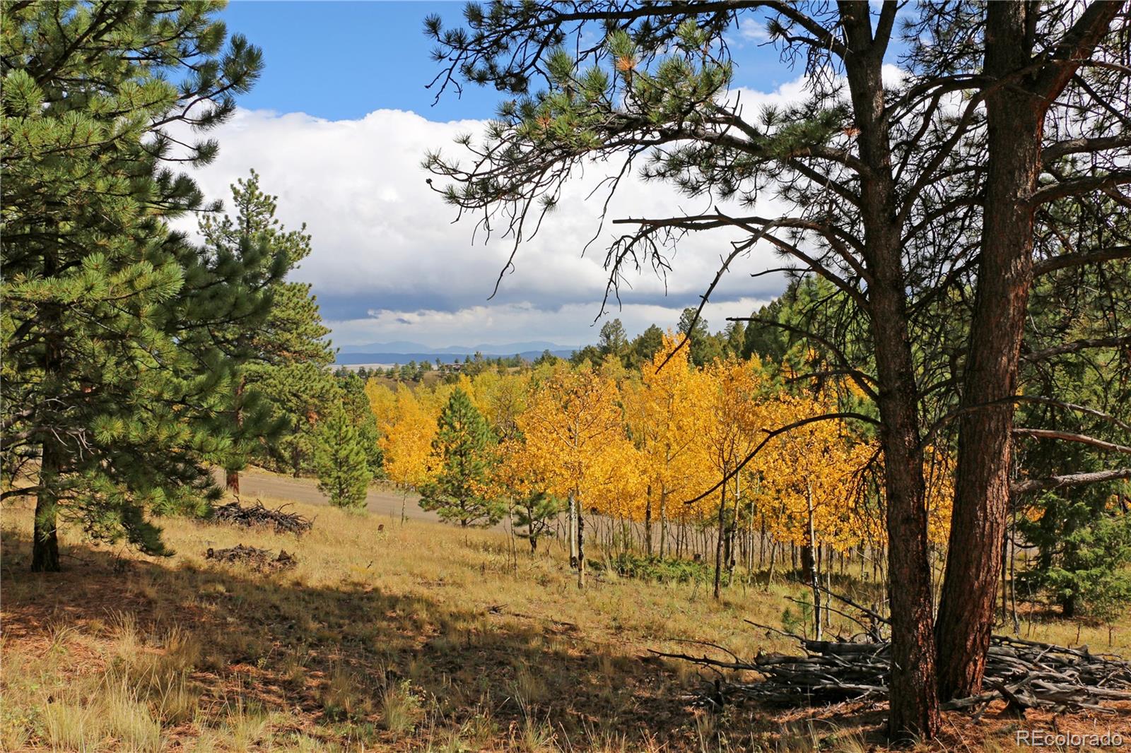 1439 Singletree Road Hartsel, CO 80449 - Photo 1 of 24