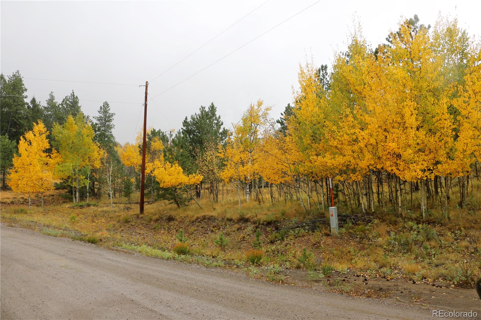 1439 Singletree Road Hartsel, CO 80449 - Photo 17 of 24
