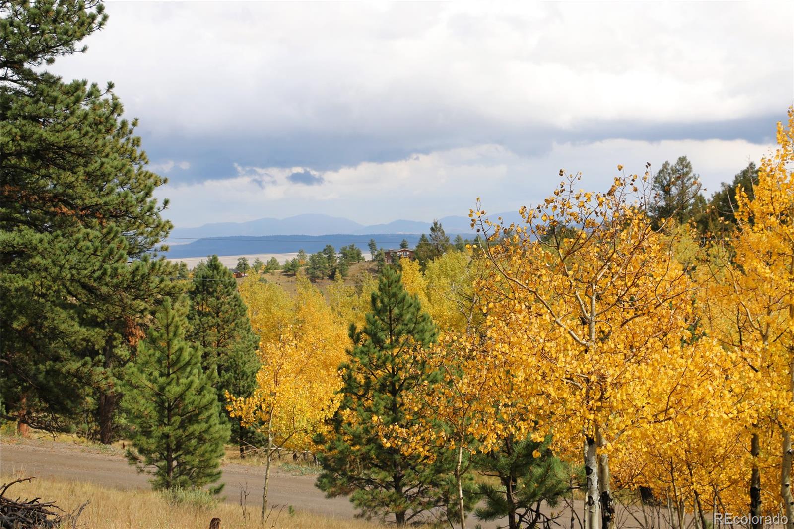 1439 Singletree Road Hartsel, CO 80449 - Photo 3 of 24