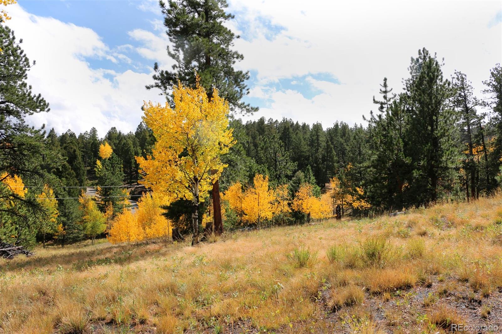 1439 Singletree Road Hartsel, CO 80449 - Photo 4 of 24