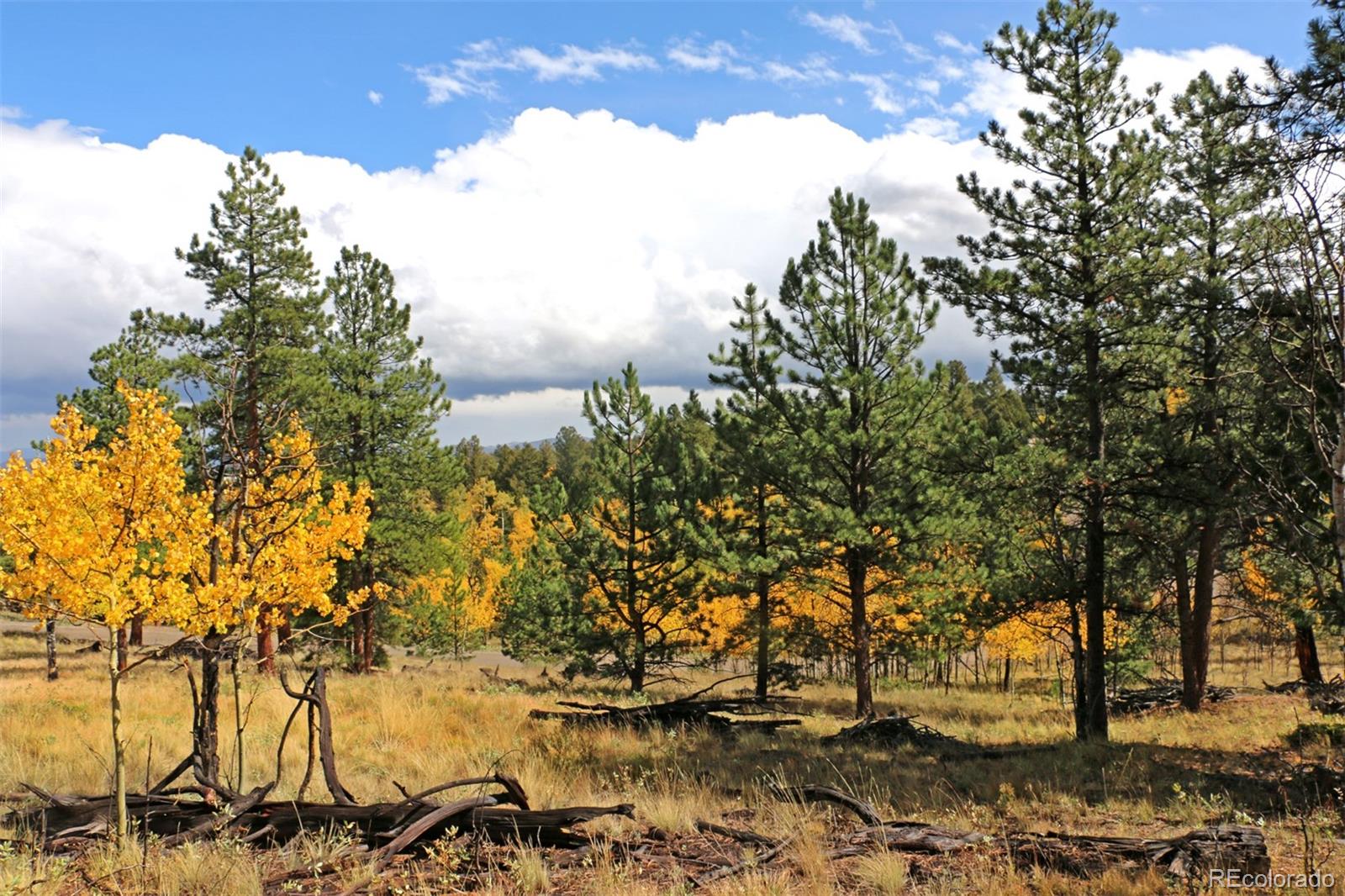 1439 Singletree Road Hartsel, CO 80449 - Photo 5 of 24