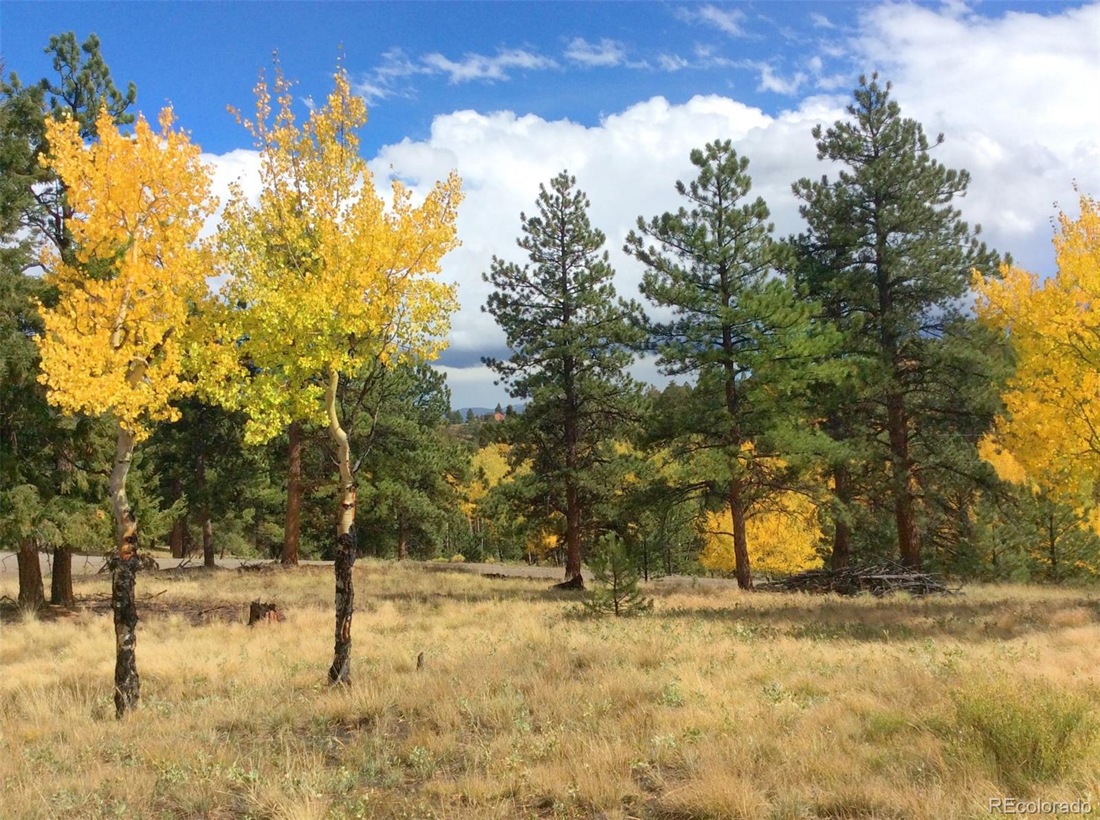 1439 Singletree Road Hartsel, CO 80449 - Photo 9 of 24