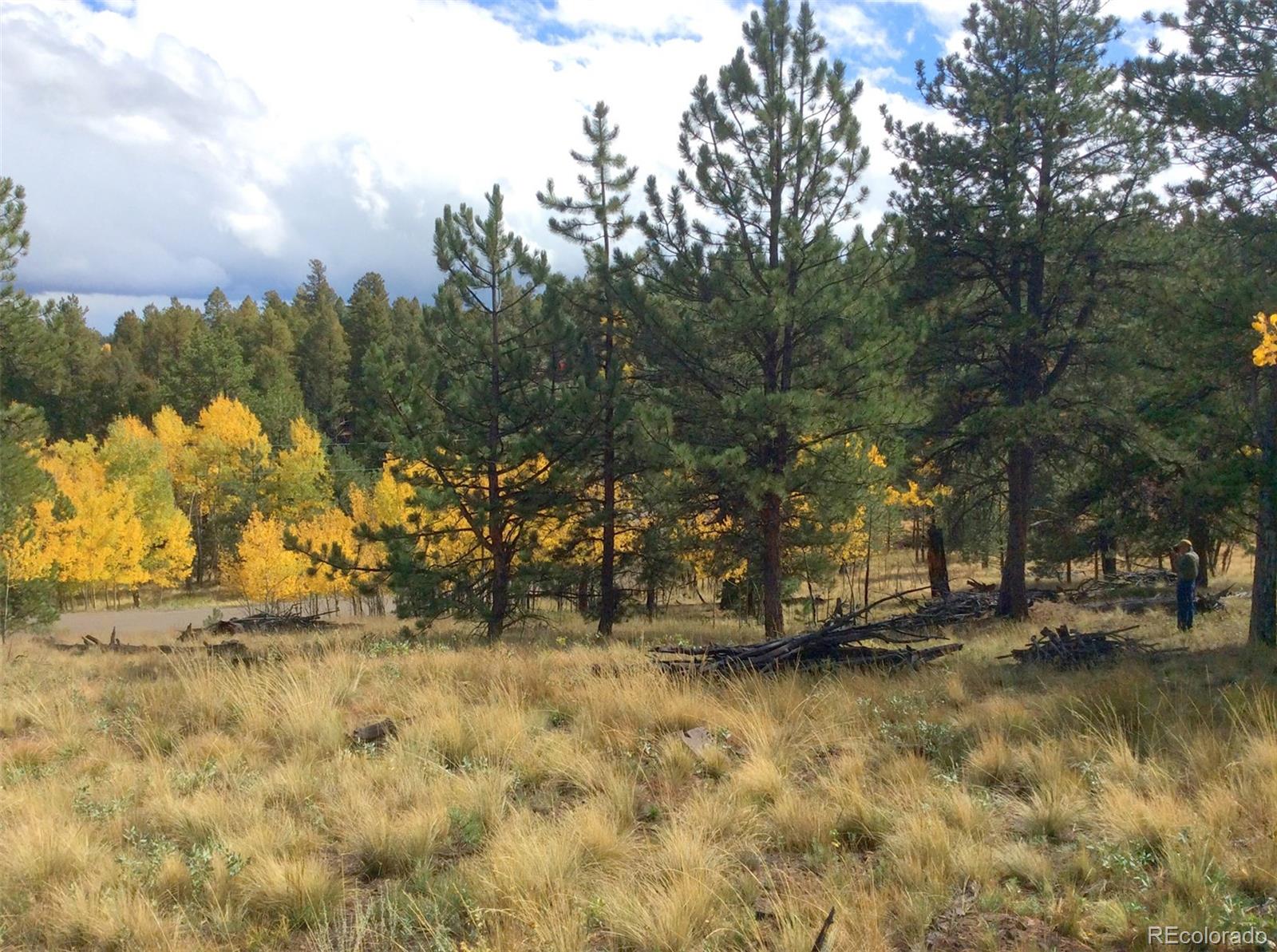 1439 Singletree Road Hartsel, CO 80449 - Photo 10 of 24