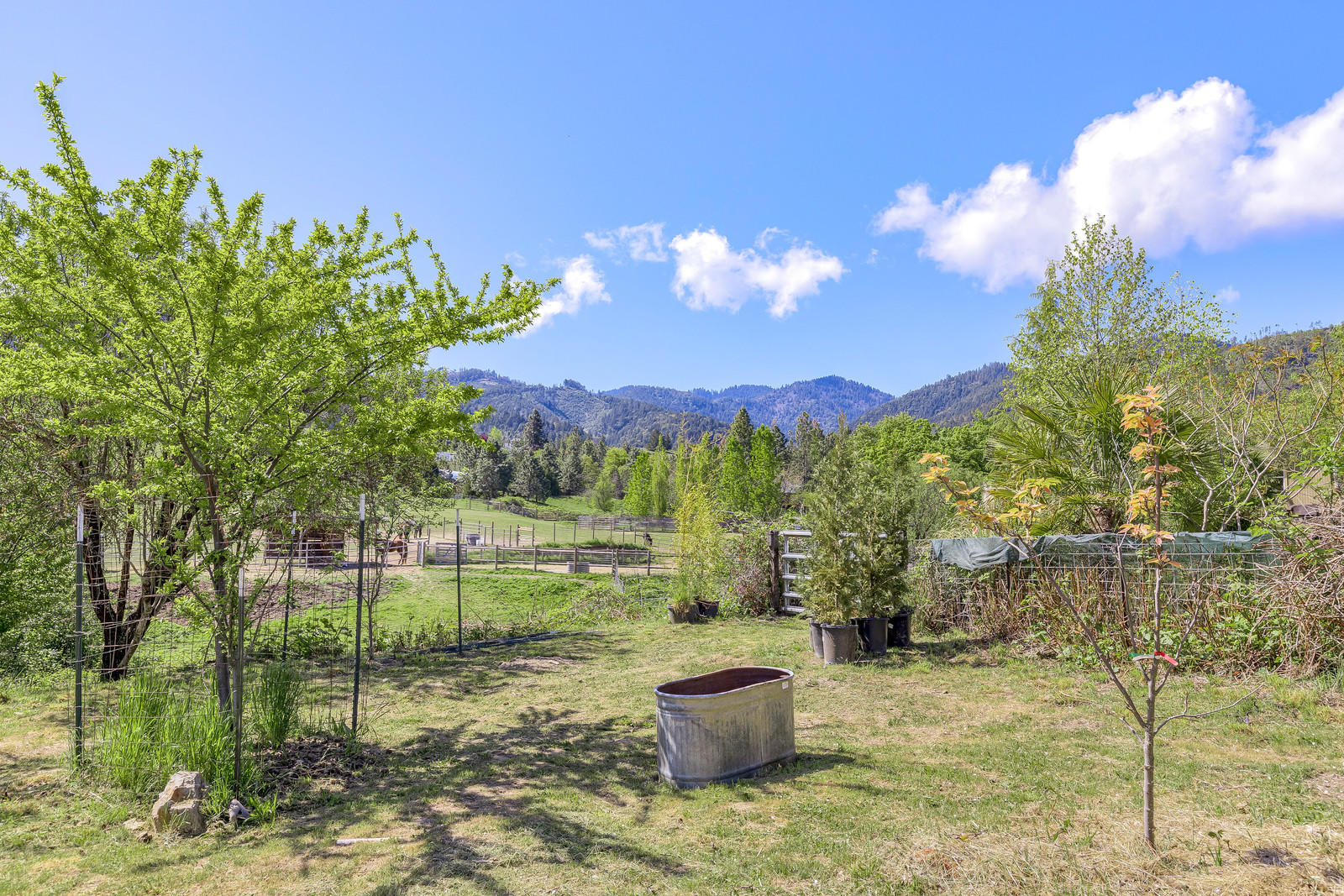 855 Holton Road Talent, OR 97540 - Photo 54 of 78 a backyard of a house with table and chairs