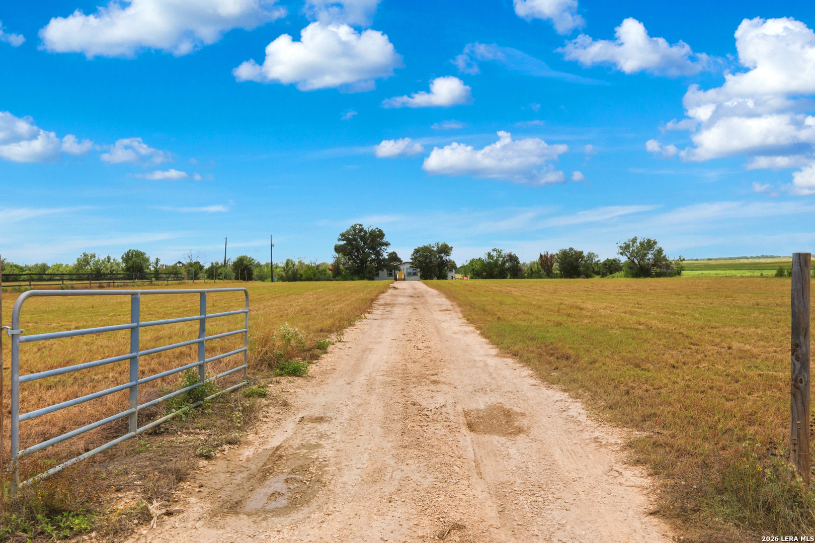 670 Nickerson Farms Road Seguin, TX 78155 - Photo 47 of 50