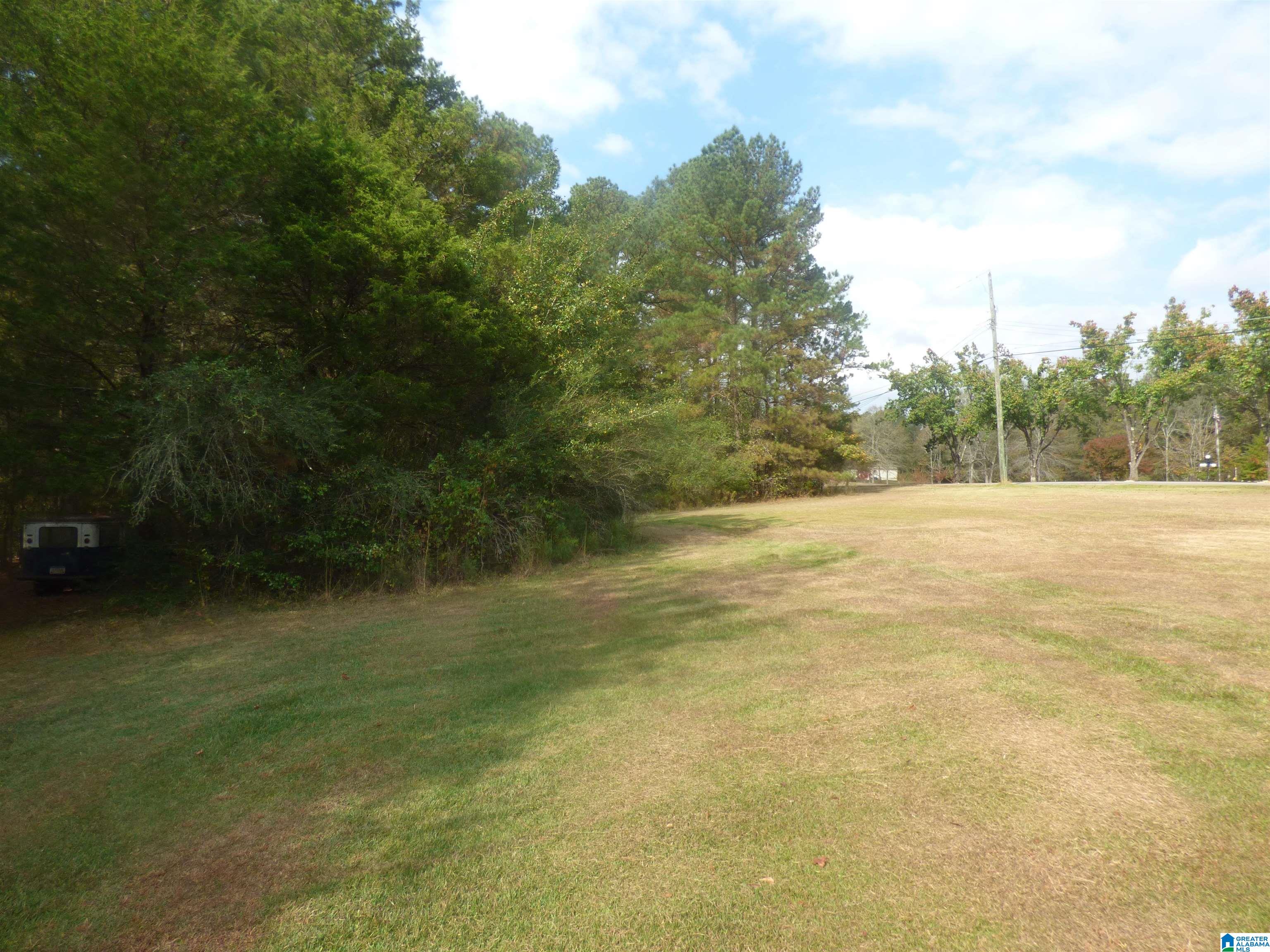 0 Sunrise Ridge Jacksonville, AL 36265 - Photo 3 of 9