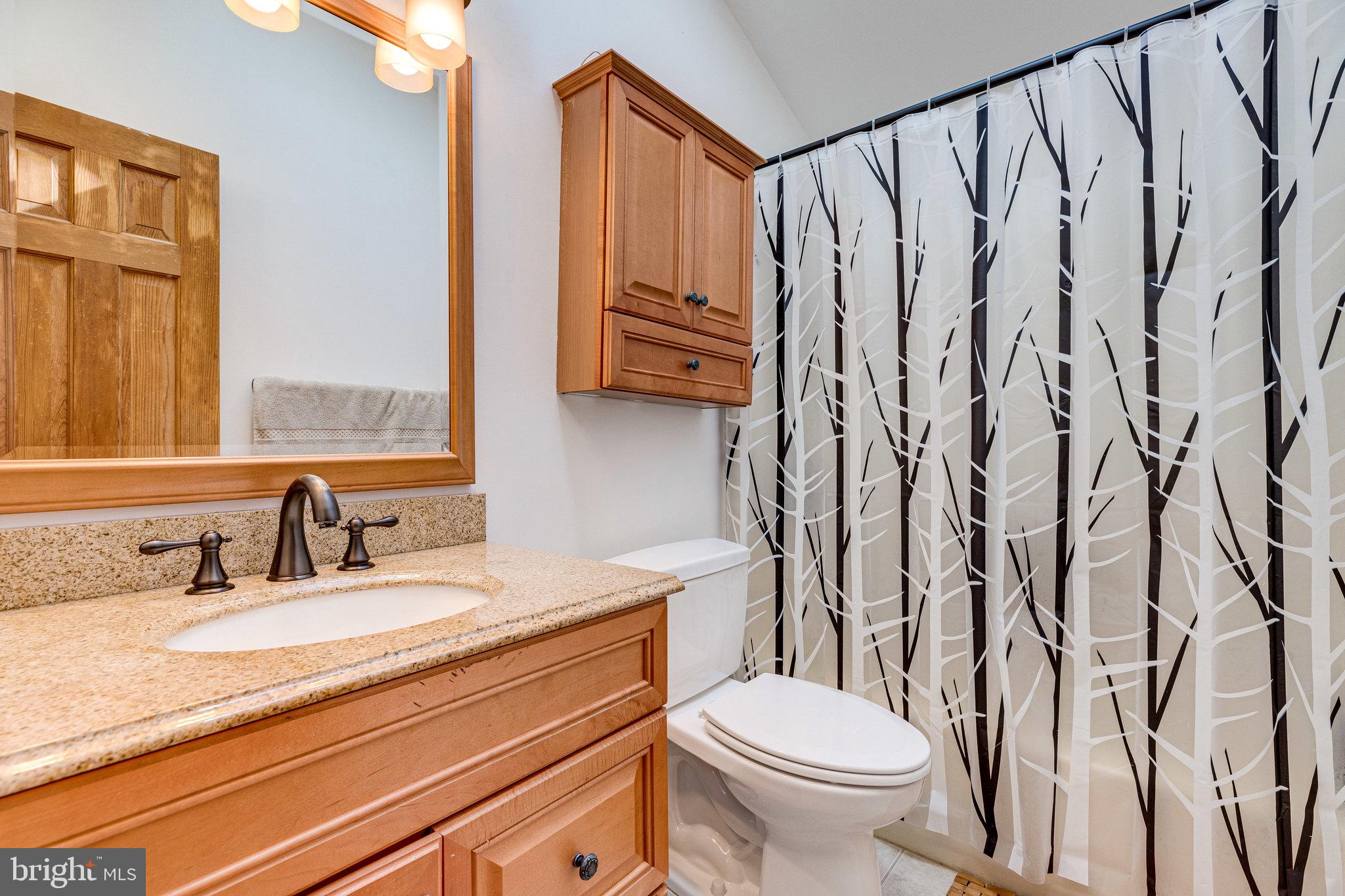 2312 Lookout Road Haymarket, VA 20169 - Photo 24 of 55 Master On-Suite w/Skylight