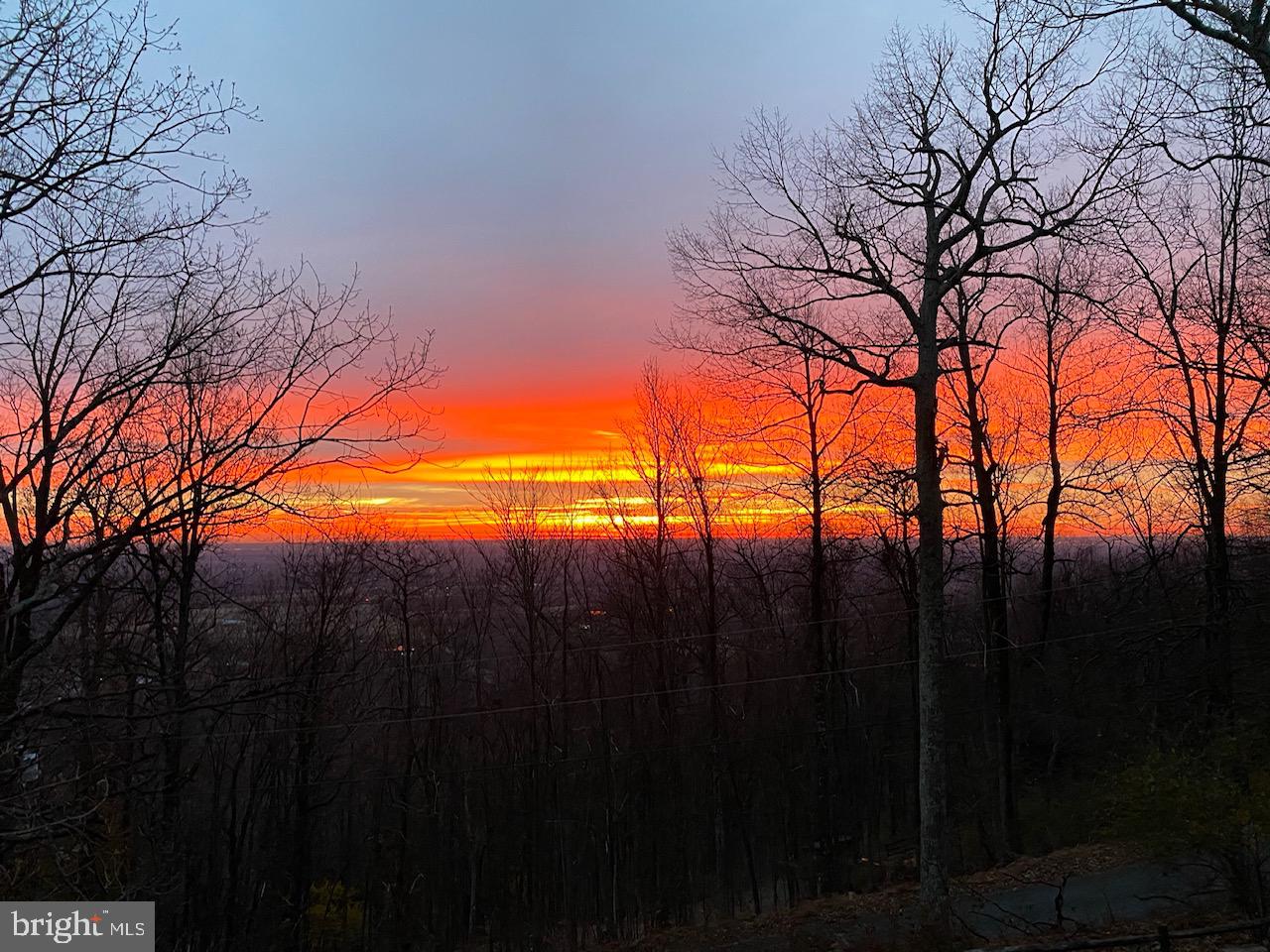 2312 Lookout Road Haymarket, VA 20169 - Photo 44 of 55 Sunrise view from deck