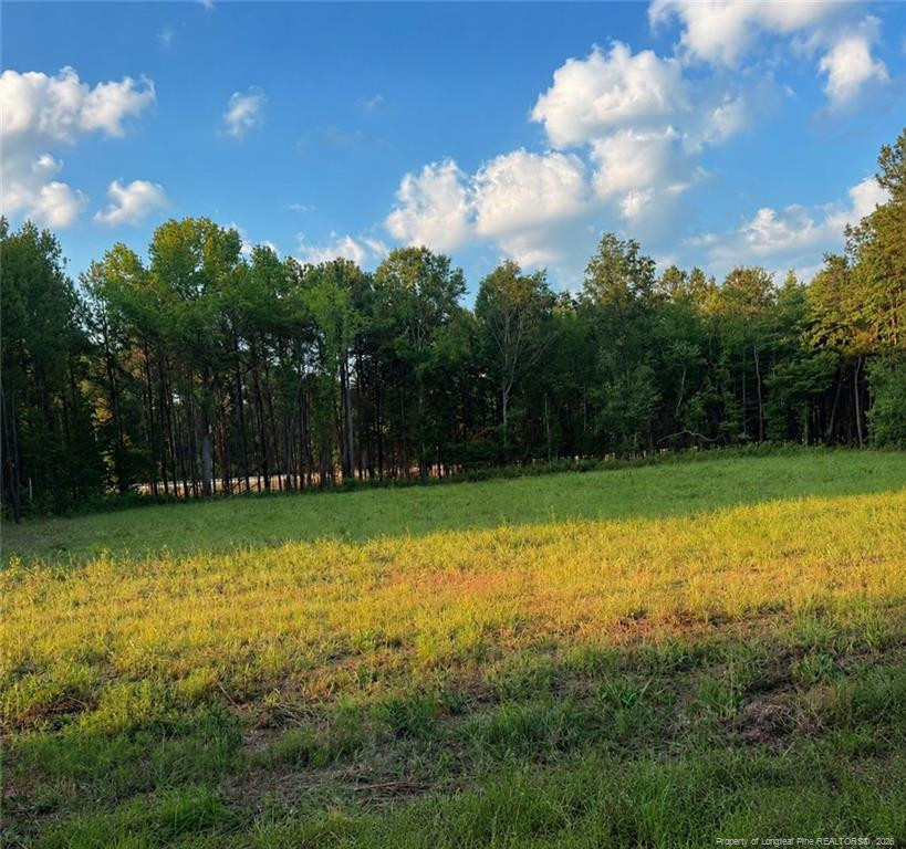 Myrtle Road Roseboro, NC 28382 - Photo 1 of 1 Photo 1