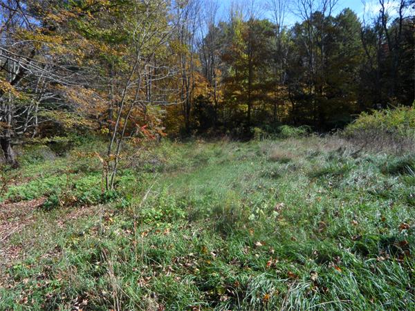 Lot 3 Wales Road Monson, MA 01057 - Photo 12 of 25 Gallery Image 12