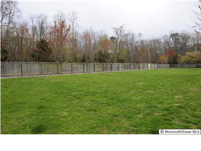 114 Bergerville Road Freehold, NJ 07728 - Photo 4 of 18 a black and white photo of a park