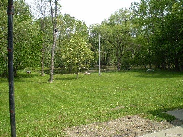 Pond