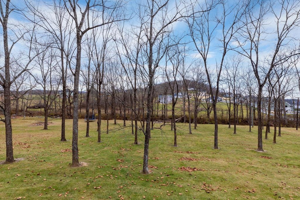 315 Ladd Road Fishersville, VA 22939 - Photo 65 of 73 Gallery Image 65