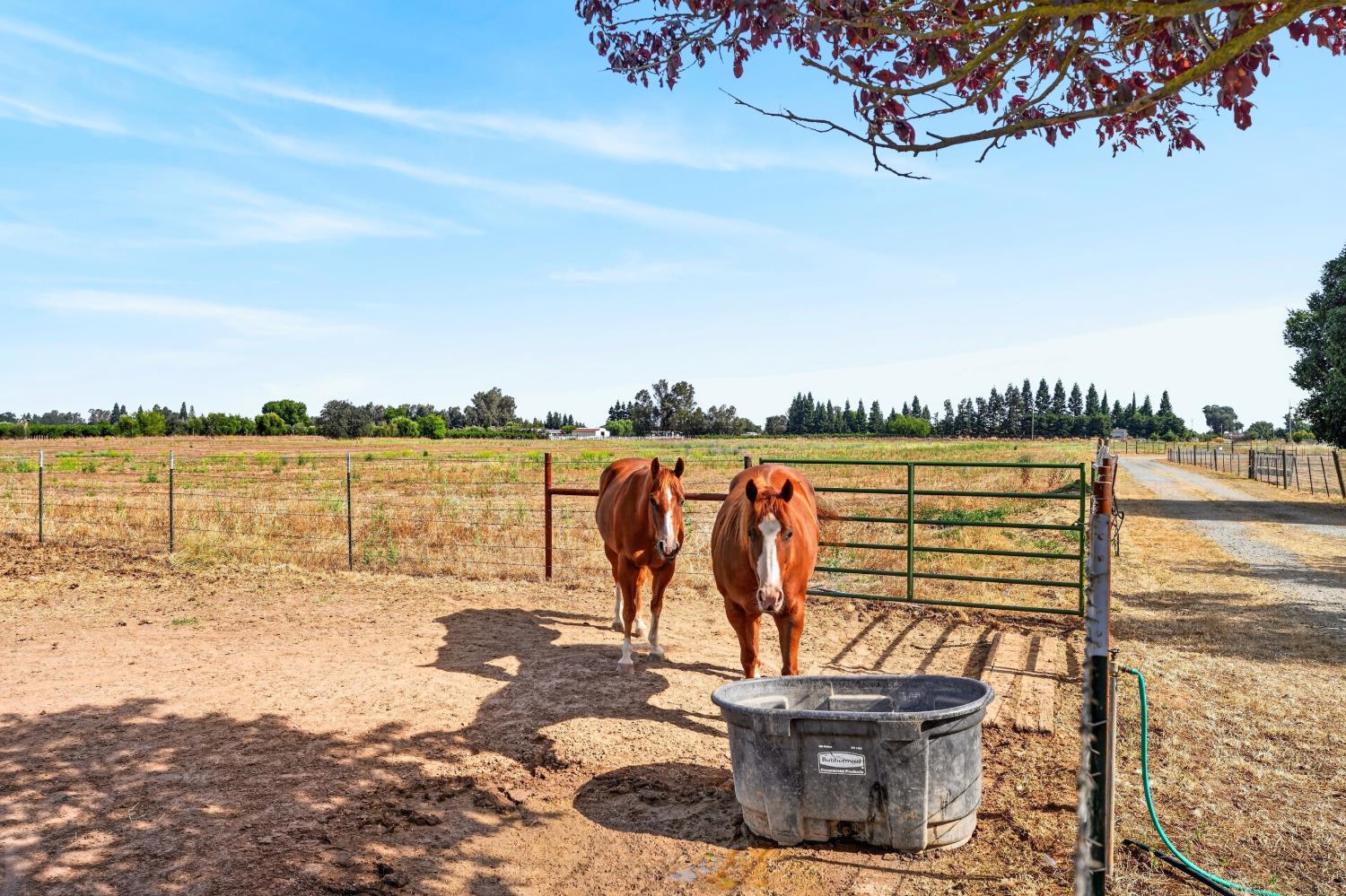 17500 Collier Road East Acampo, CA 95220 - Photo 43 of 65