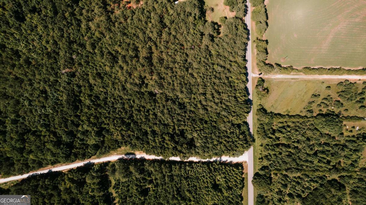 0 Lexington-Carlton Road Lexington, GA 30648 - Photo 12 of 20
