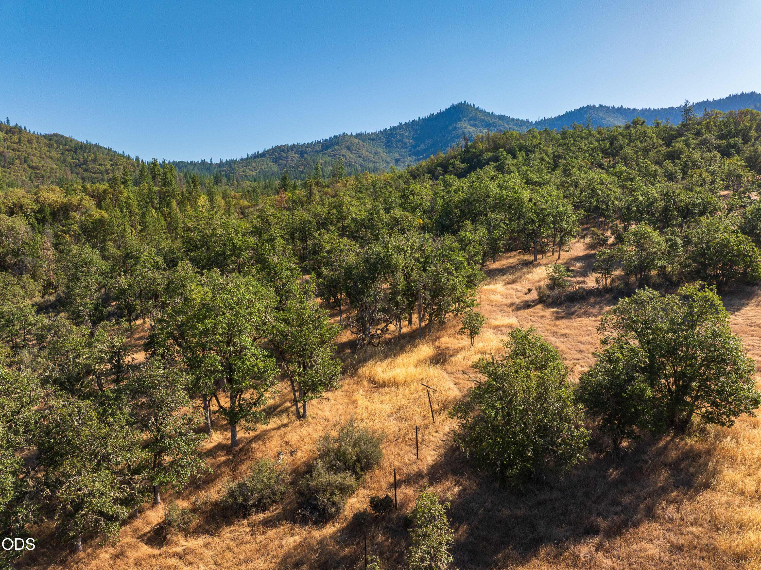 2659 Foots Creek Road Gold Hill, OR 97525 - Photo 14 of 43