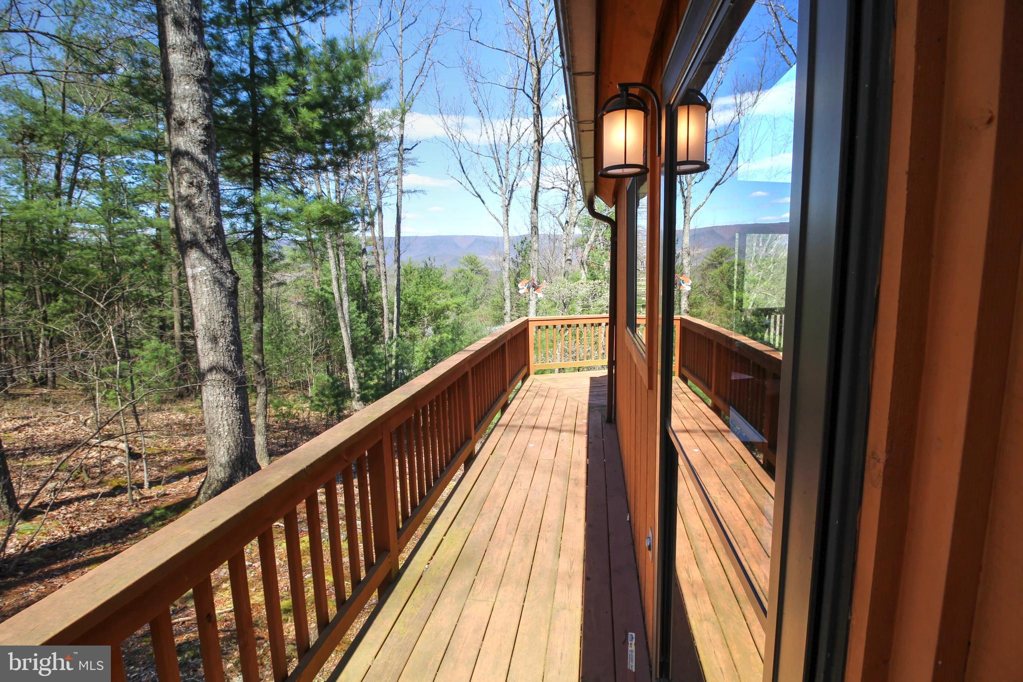 291 Quail Road Basye, VA 22810 - Photo 2 of 45