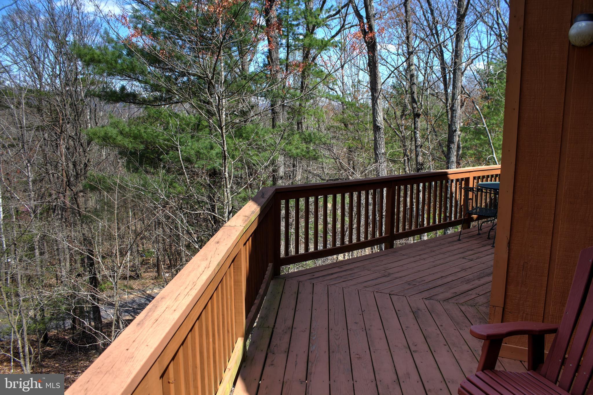 291 Quail Road Basye, VA 22810 - Photo 42 of 45