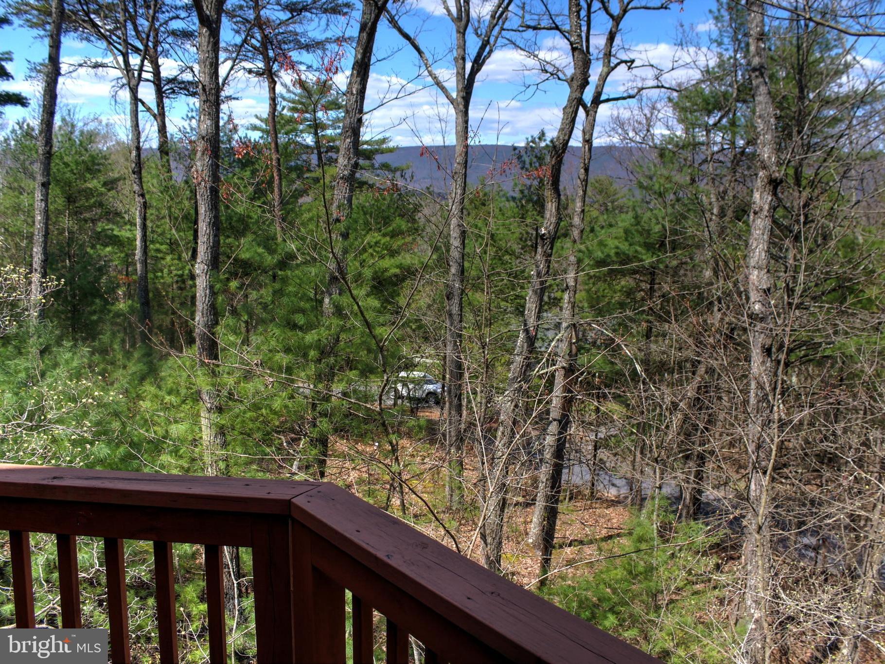 291 Quail Road Basye, VA 22810 - Photo 44 of 45