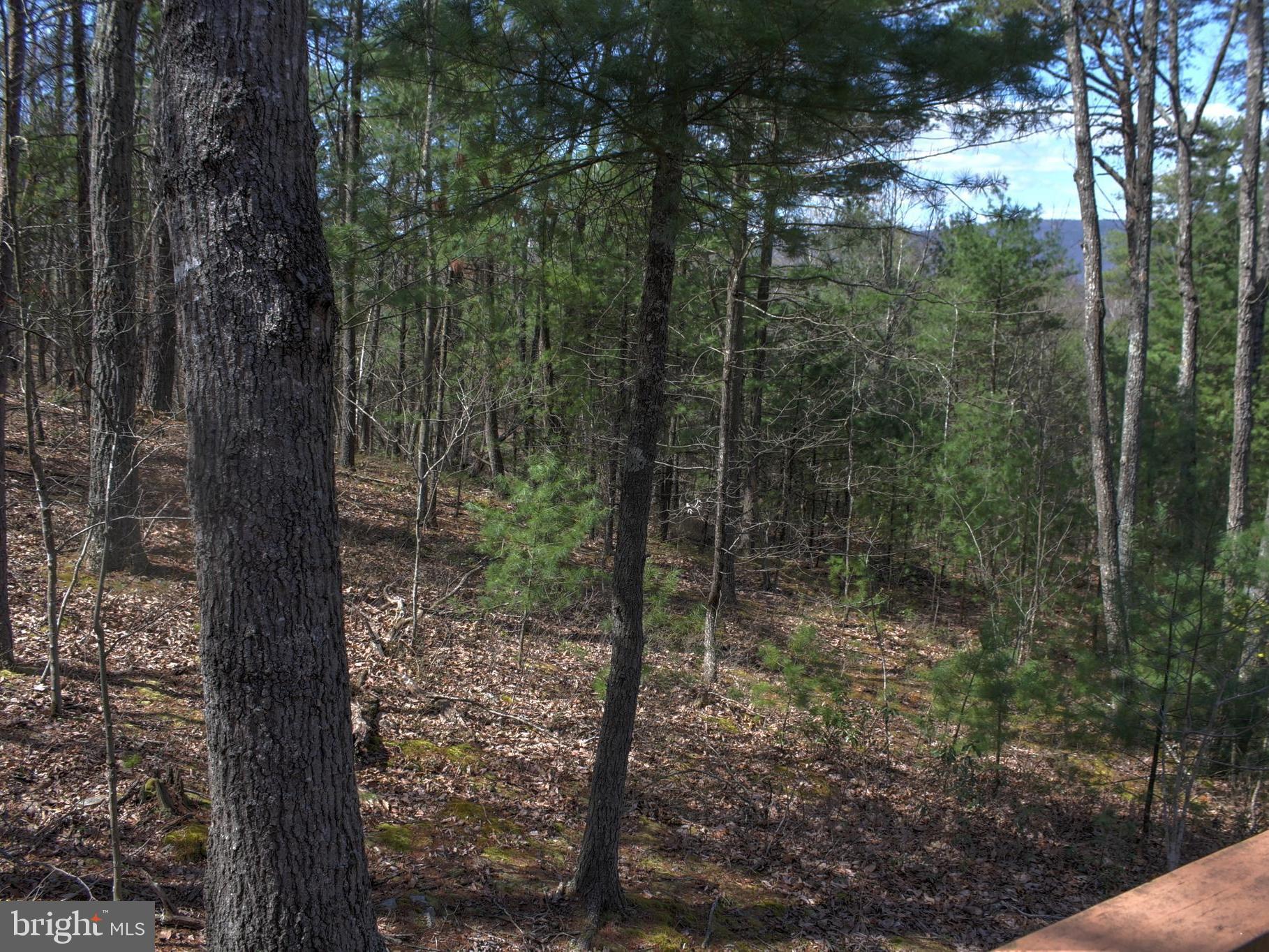 291 Quail Road Basye, VA 22810 - Photo 45 of 45