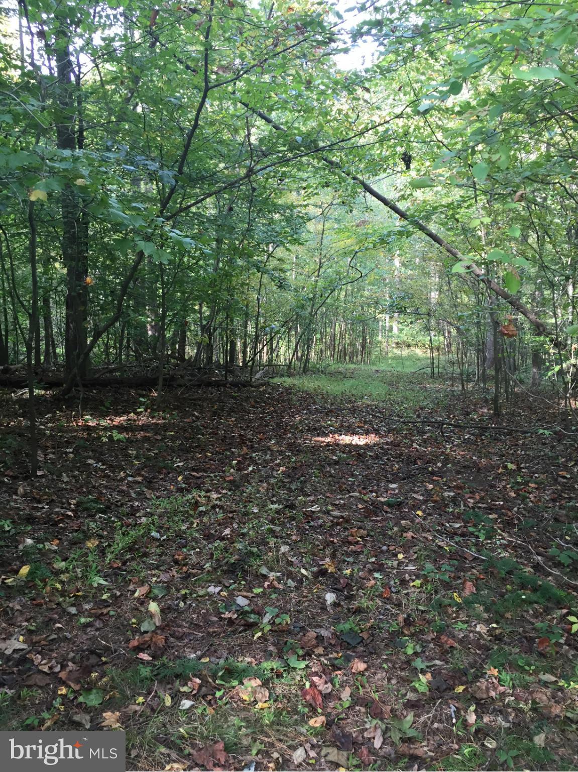 2395 Stinnett Road Huntingtown, MD 20639 - Photo 23 of 30 View