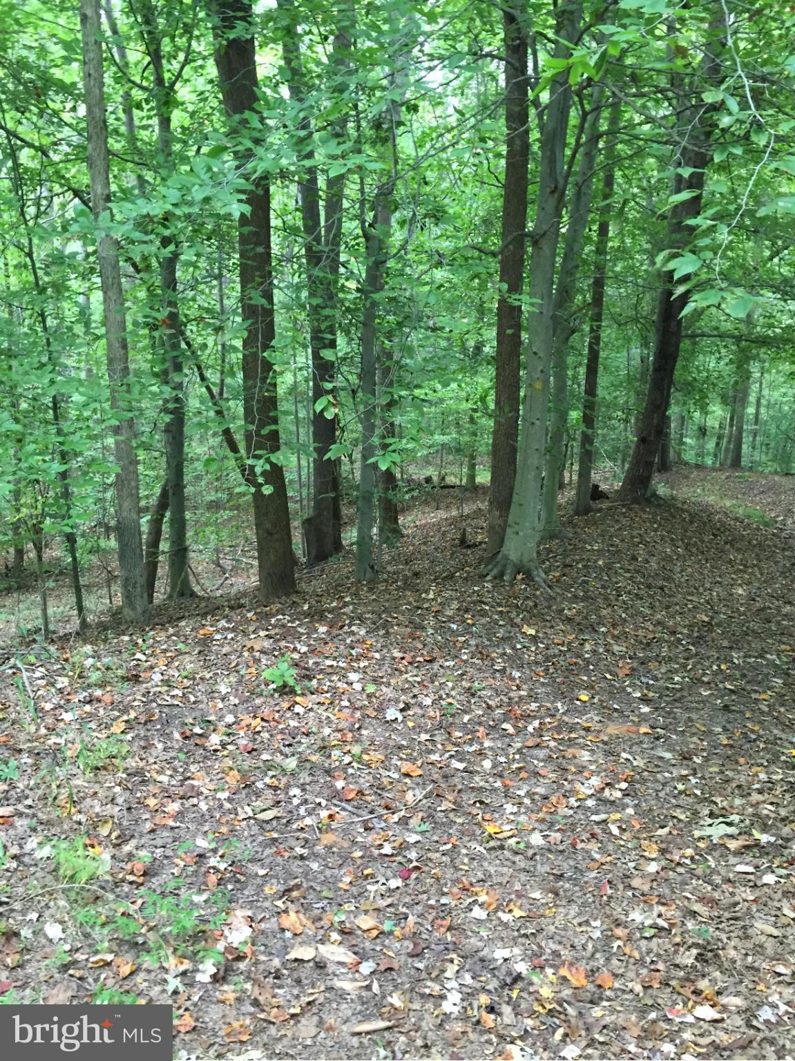 2395 Stinnett Road Huntingtown, MD 20639 - Photo 24 of 30 View