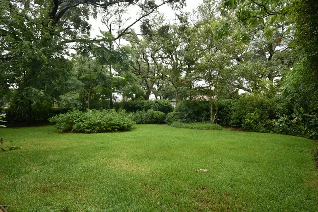a view of a grassy field with trees in the background