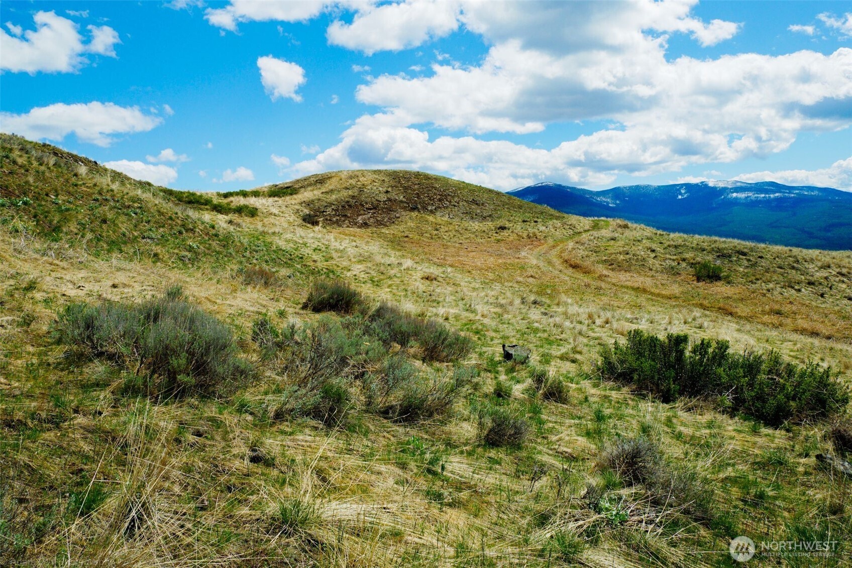 -tbd Tbd Janet Marie Road Tonasket, WA 98855 - Photo 14 of 19 a view of a big yard