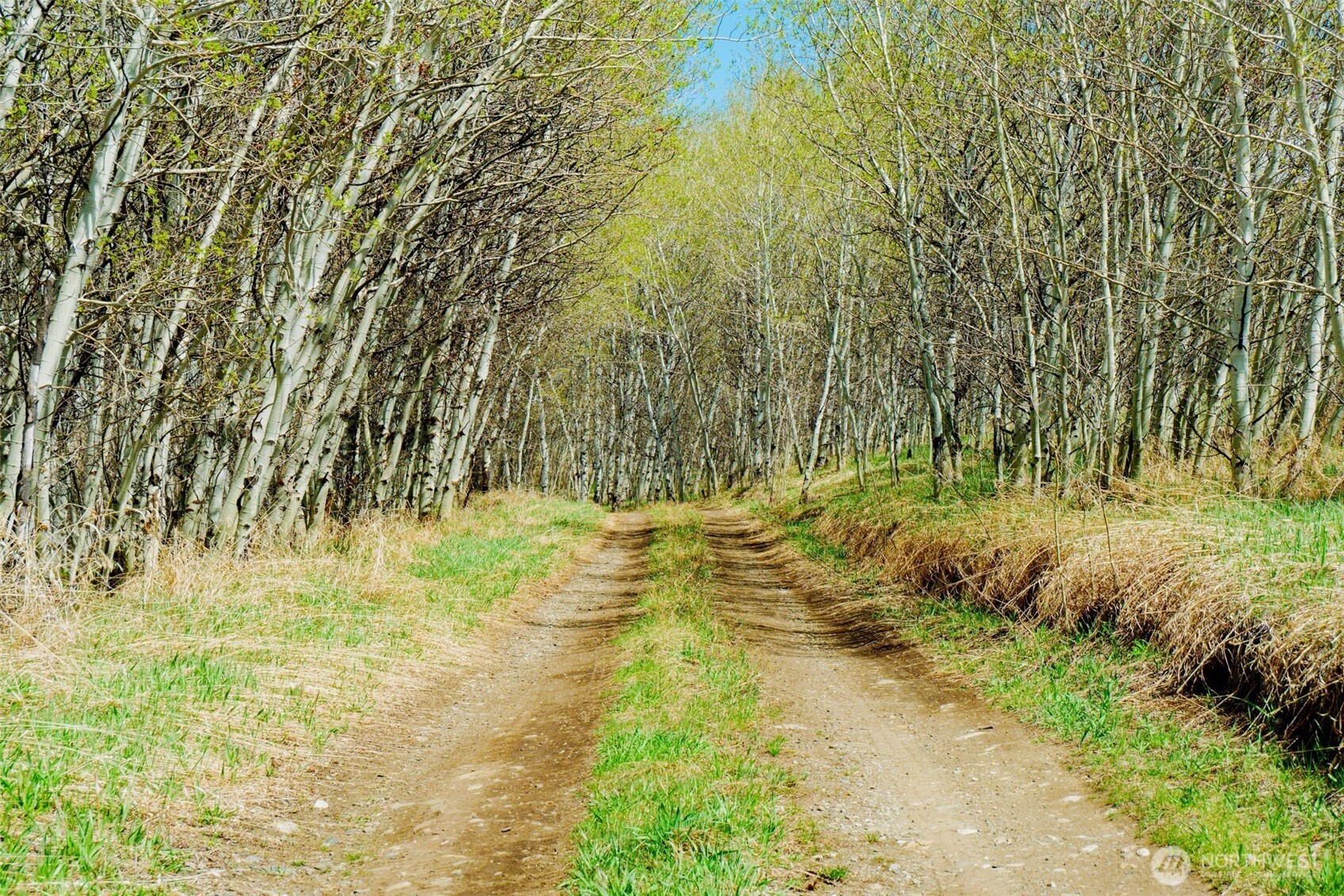 -tbd Tbd Janet Marie Road Tonasket, WA 98855 - Photo 19 of 19 a view of swimming pool of water and yard