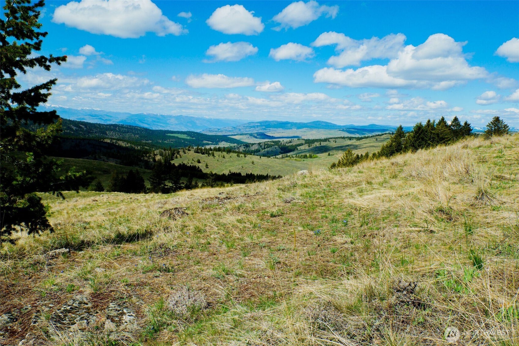 -tbd Tbd Janet Marie Road Tonasket, WA 98855 - Photo 3 of 19 a view of lake view and mountain view