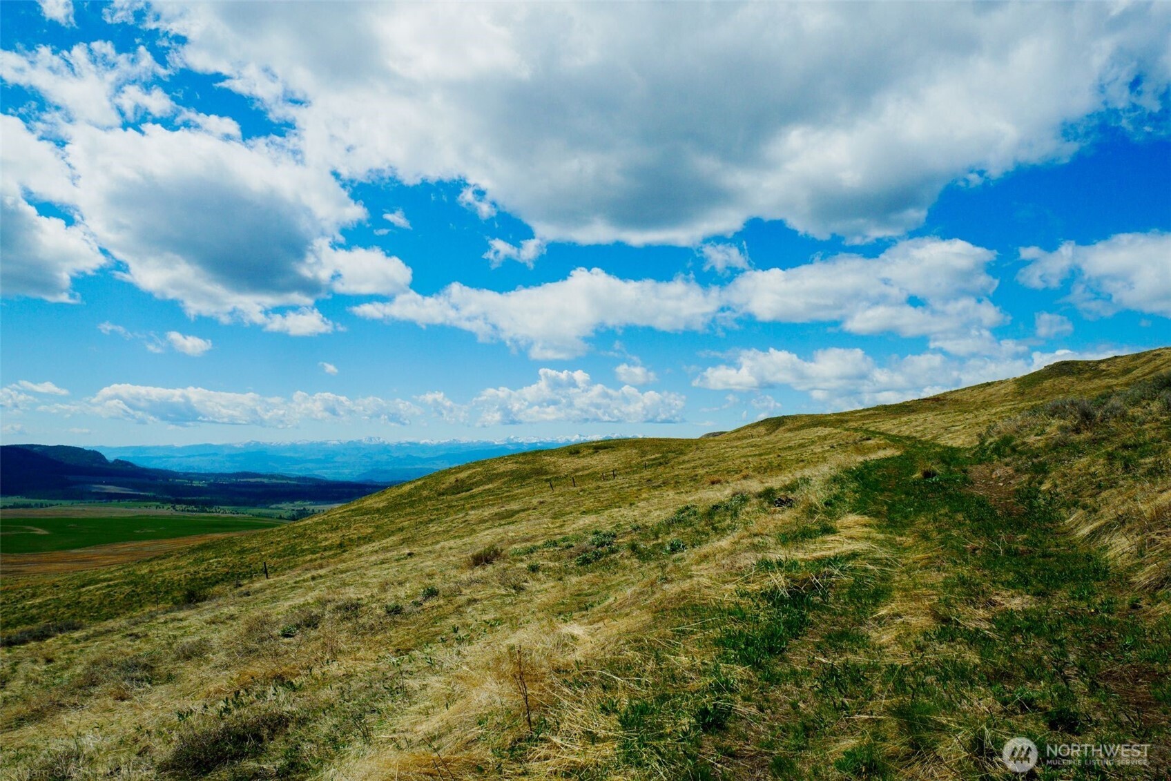 -tbd Tbd Janet Marie Road Tonasket, WA 98855 - Photo 5 of 19 a view of a big yard