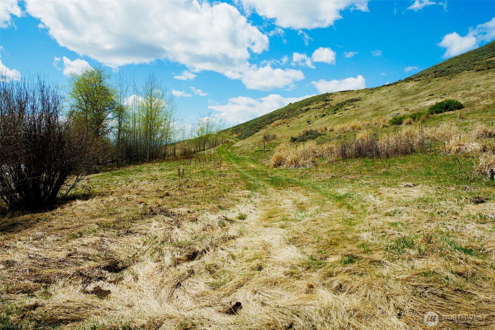 -tbd Tbd Janet Marie Road Tonasket, WA 98855 - Photo 7 of 19 a view of a yard