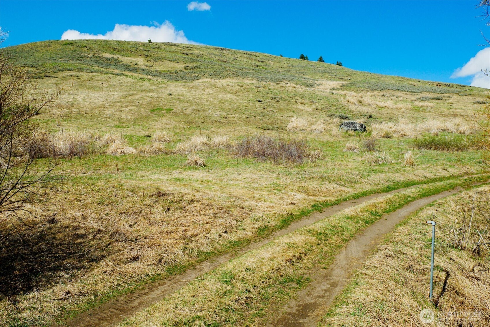 -tbd Tbd Janet Marie Road Tonasket, WA 98855 - Photo 8 of 19