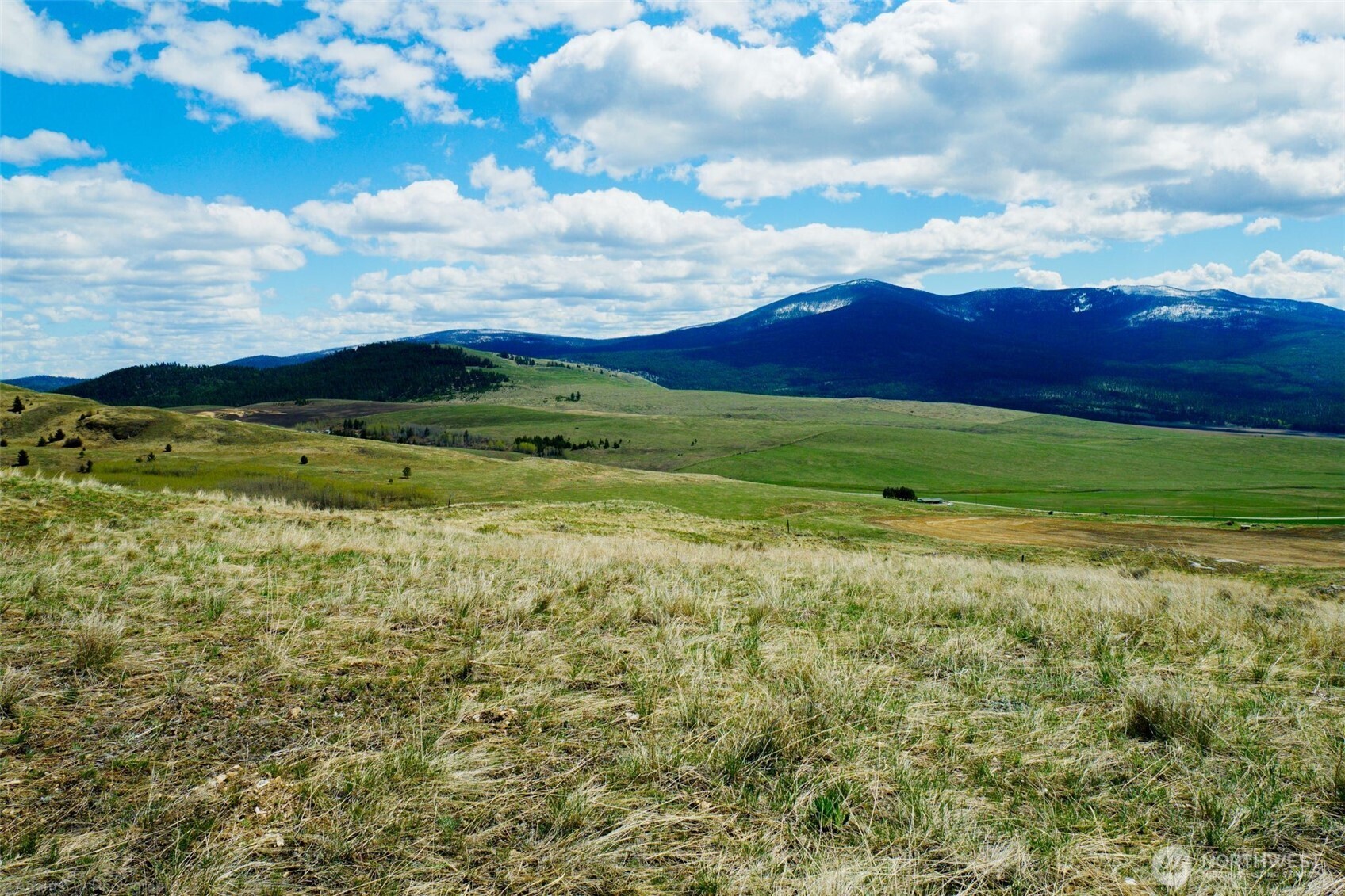 -tbd Tbd Janet Marie Road Tonasket, WA 98855 - Photo 10 of 19 a view of an houses and yard