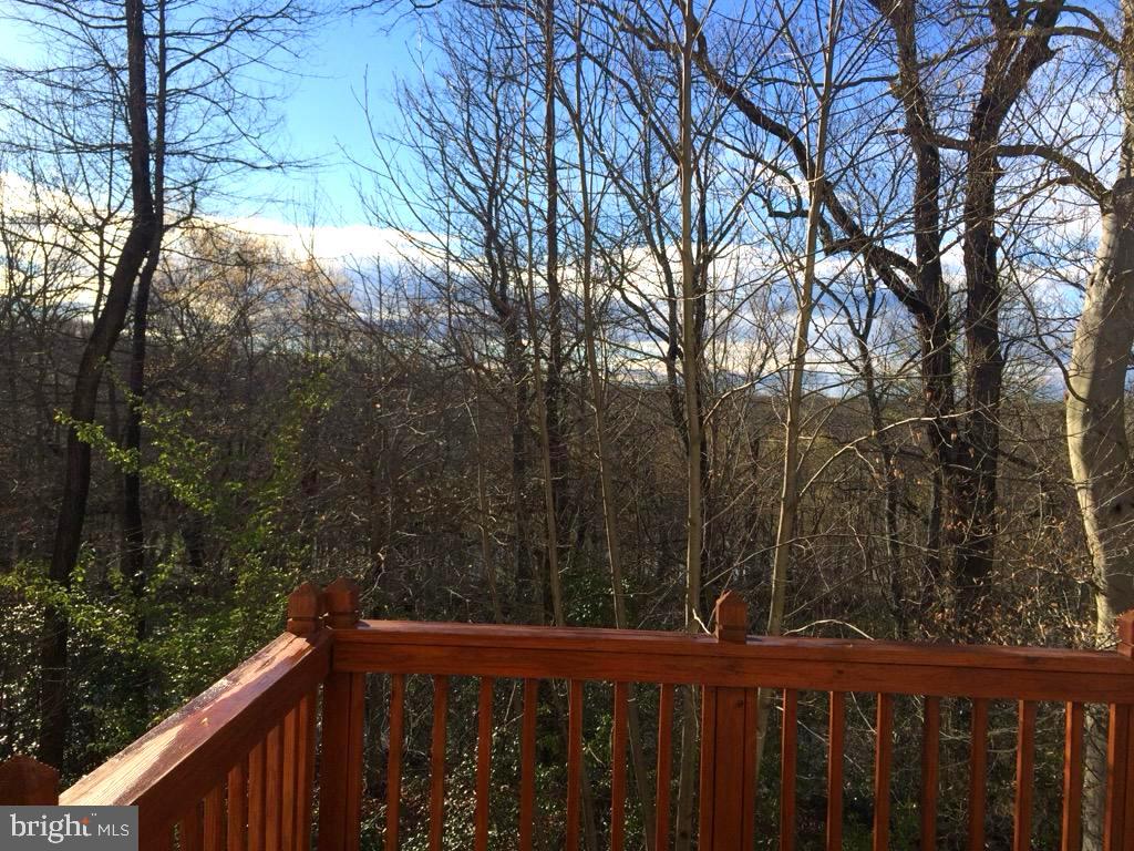 8120 Mississippi Road Laurel, MD 20724 - Photo 11 of 50 Fall season on the deck