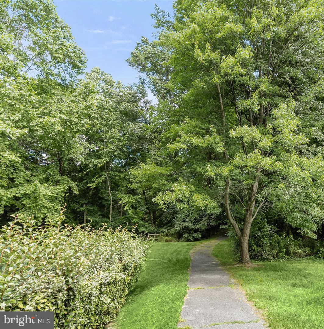 8120 Mississippi Road Laurel, MD 20724 - Photo 50 of 50 Common area walking/biking trail