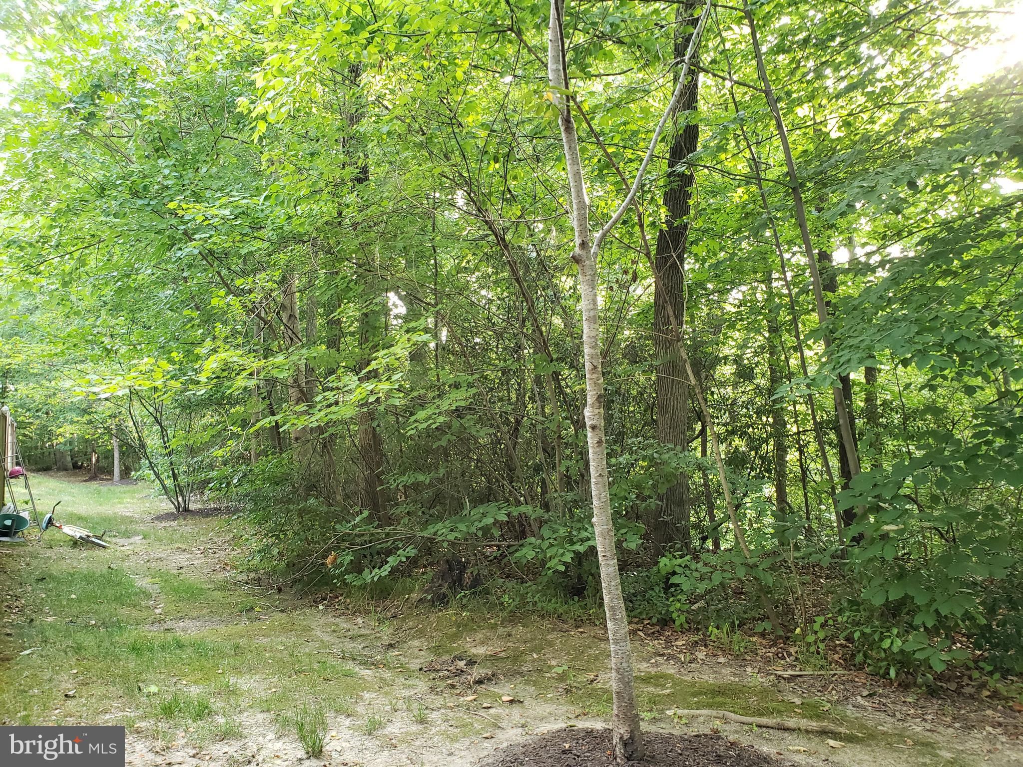 8120 Mississippi Road Laurel, MD 20724 - Photo 10 of 50 Biking/walking trail at the back of the property