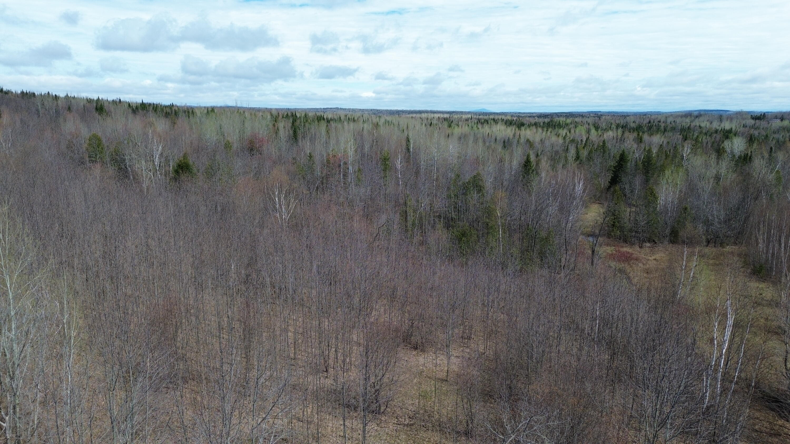 1063 Ludlow Road Ludlow, ME 04730 - Photo 29 of 36 DJI_0760
