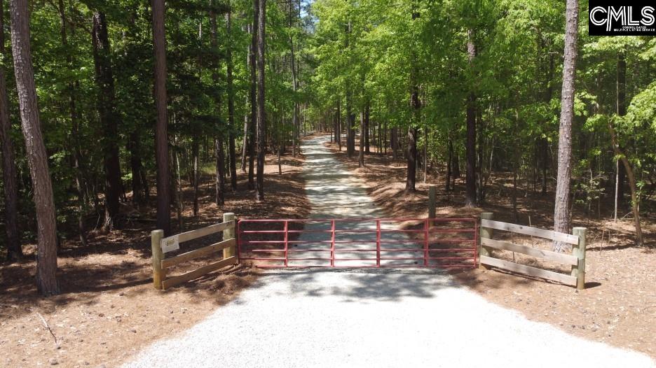 201 State Rd S-20-99 Blair, SC 29015 - Photo 37 of 61
