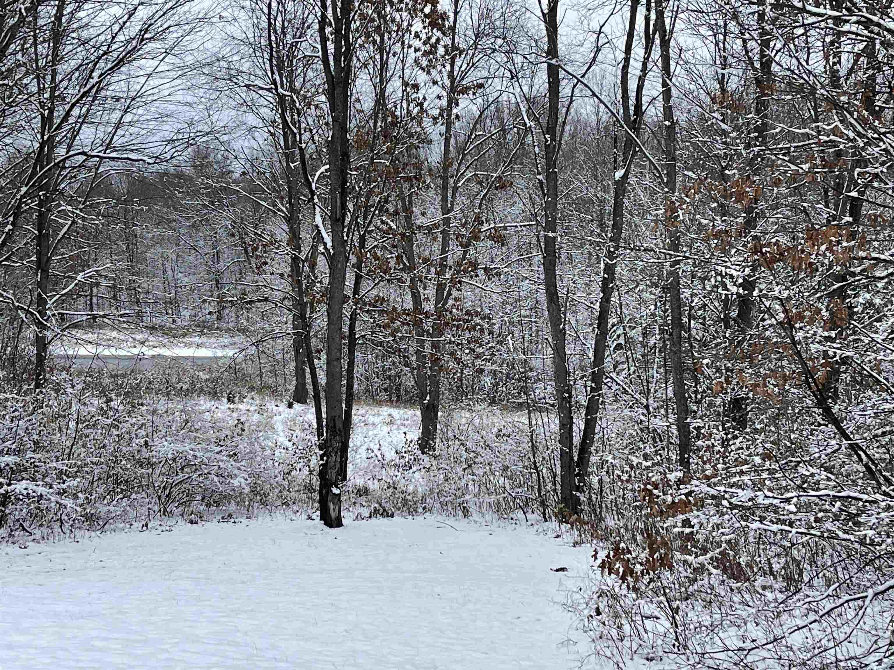 7454 West Maple Grove Road Lake, MI 48632 - Photo 27 of 30 1906739-26.JPG