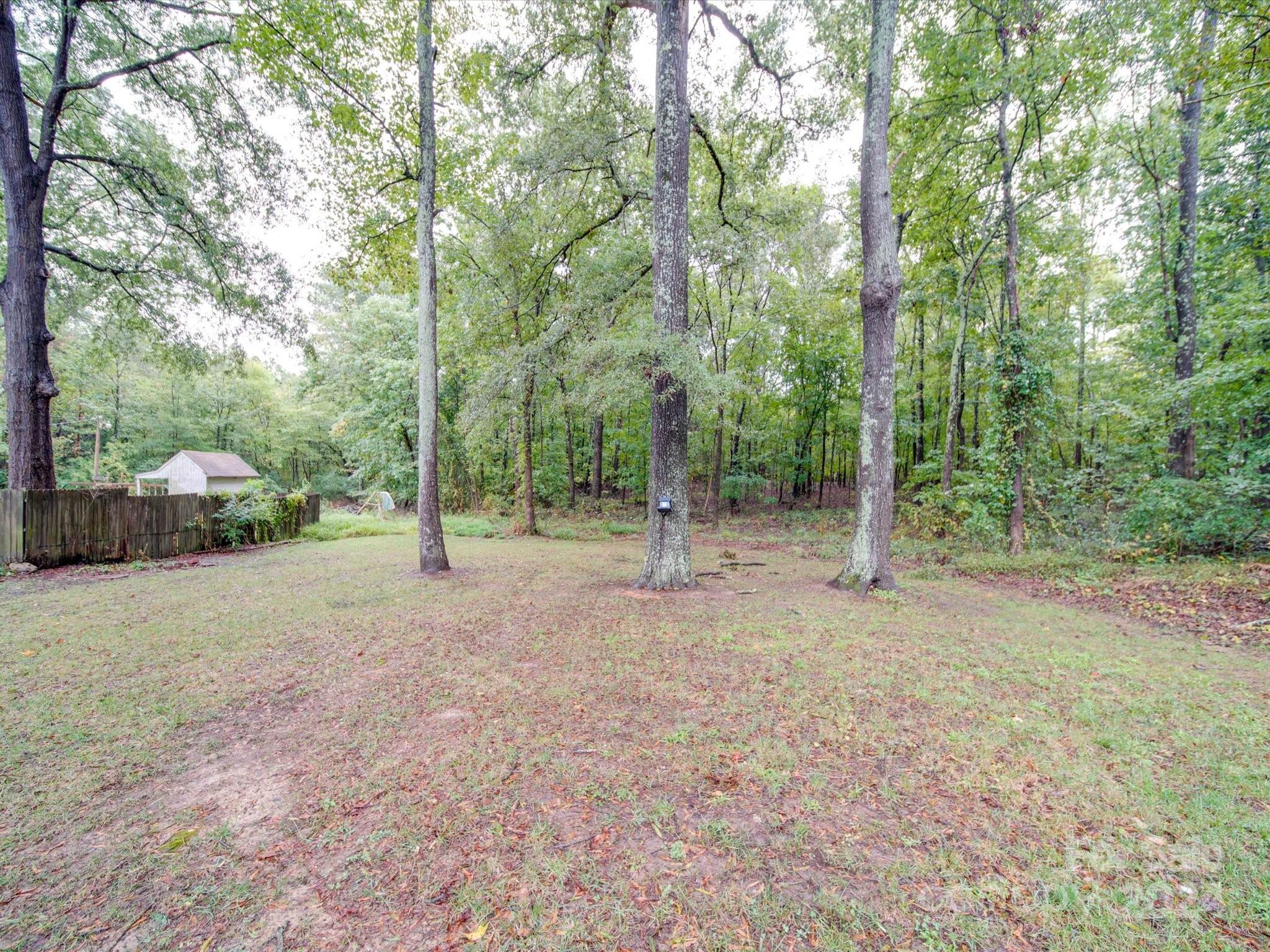 20082 Coley Store Road Locust, NC 28097 - Photo 43 of 43 a view of a forest with trees in the background