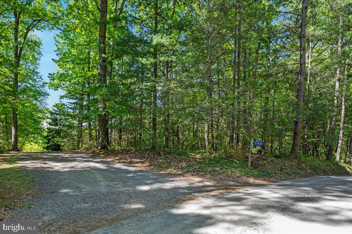 146 Lizzie Mills Road Castleton, VA 22716 - Photo 52 of 91