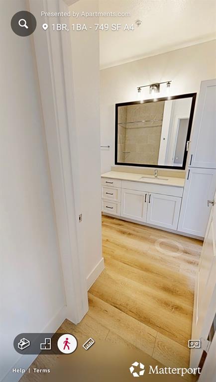 7201 Stacy Road McKinney, TX 75070 - Photo 5 of 6 Bathroom with vanity, light wood-style flooring, and crown molding