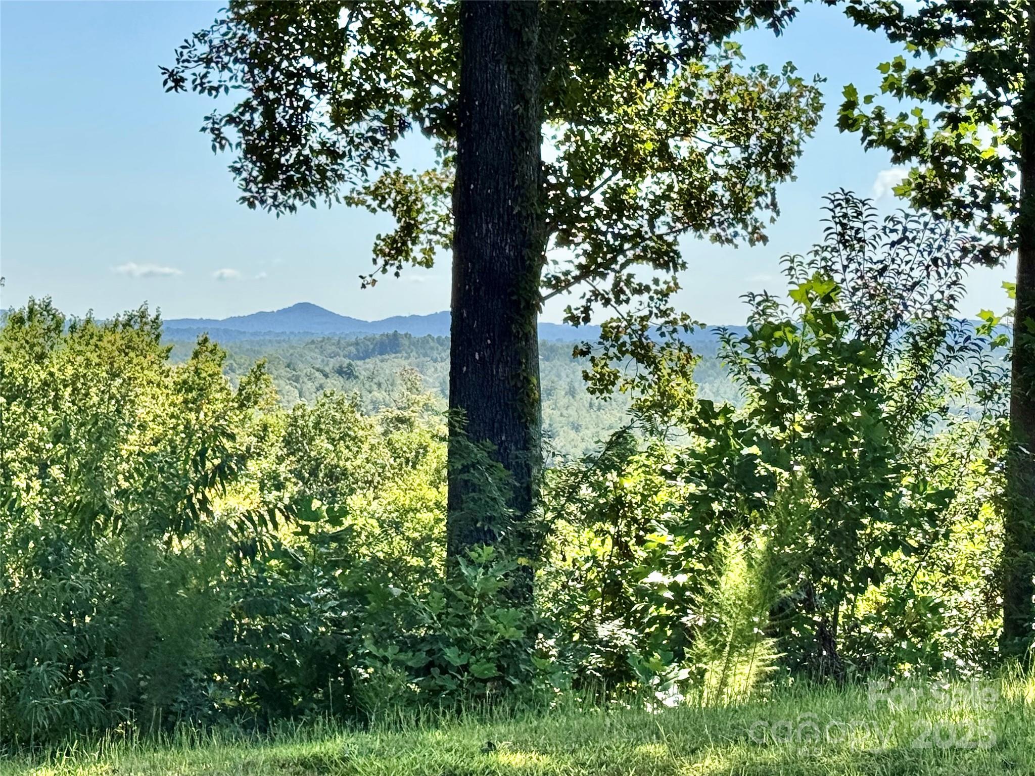 C6 River Club Ridge Lenoir, NC 28645 - Photo 7 of 47