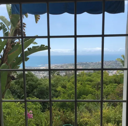 a view of a patio with couches and potted plants
